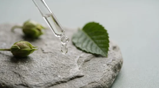 Composition éditoriale évoquant la science des actifs végétaux pour la peau, avec des éléments botaniques et une texture de sérum en lumière naturelle